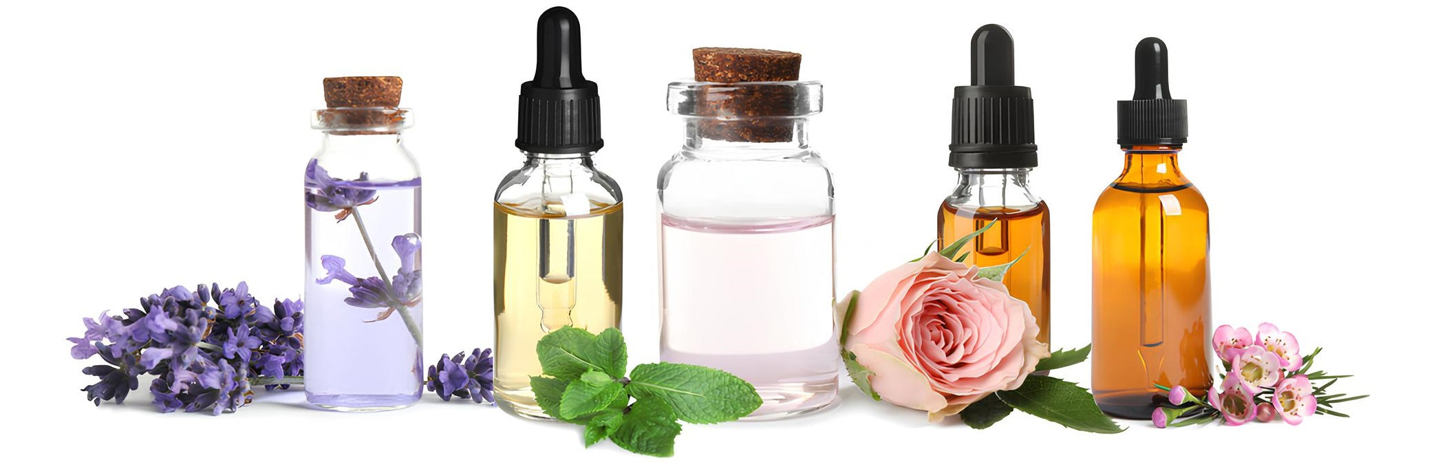 Perfume Oils GROWING FEELINGS